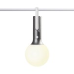 BOLLA LED Gun metal new